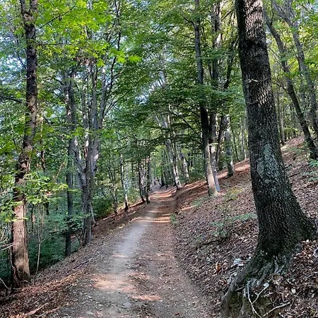 Bella Italia Vakantiehuis *