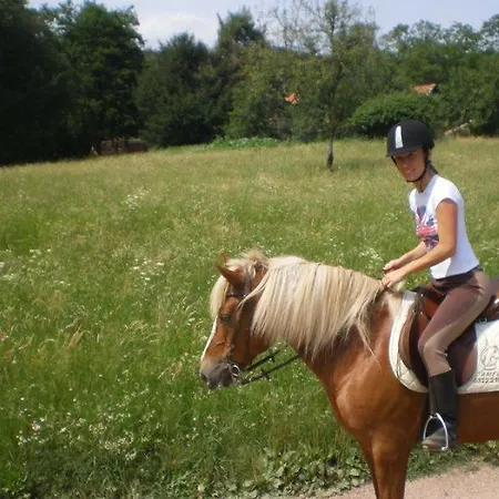 Vakantiehuis Bella Italia