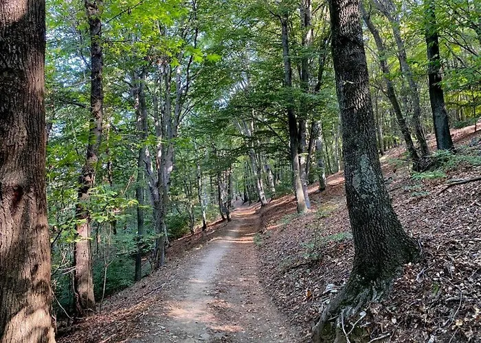 Bella Italia Holiday home *